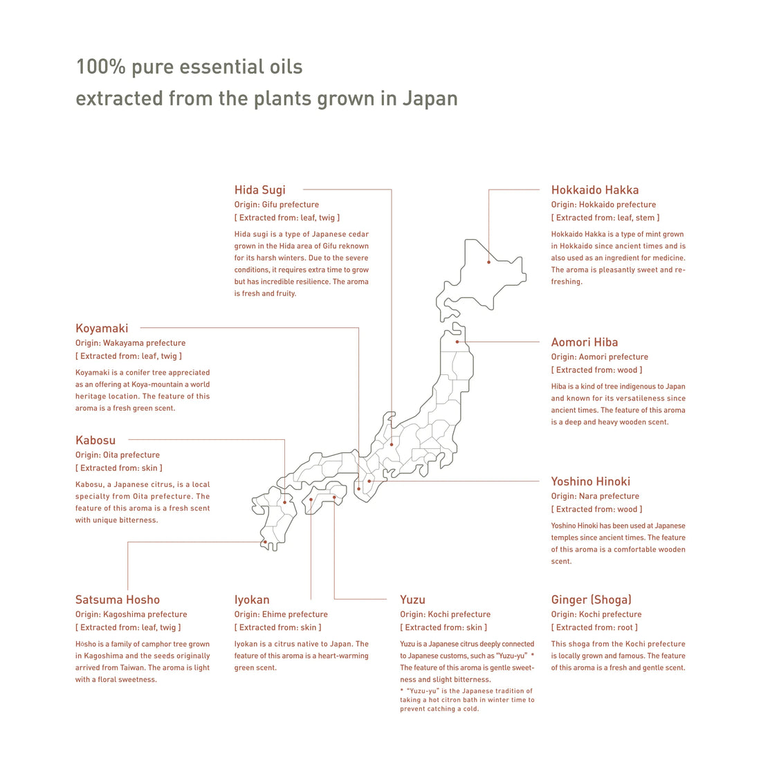 @aroma Pure Essential oil JB06 HIDA SUGI
