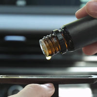 SEASONS Crystal Clip Car Diffuser