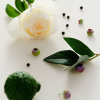 Maison Louis Marie, Eau de Parfum Antidris Cassis 50mL