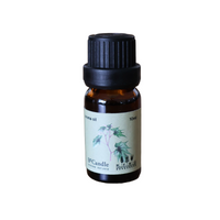 BeCandle x KFBG Biochar Aroma Diffuser