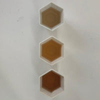 White Tea and Spray Workshop 白茶有多香工作坊